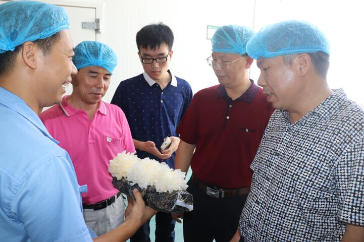 “湘軍故里，鋼鐵新城”我院助力婁底市開啟創(chuàng)新發(fā)展新篇章