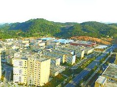 推動提高醫(yī)藥產業(yè)規(guī)劃發(fā)展水平
