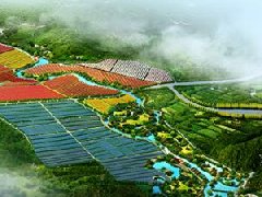 鄭州市工信局：積極構建管城區(qū)、經開區(qū)、中牟縣“兩區(qū)一縣”氫燃料電池汽車