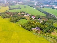 智慧園區(qū)規(guī)劃 | 產(chǎn)業(yè)園區(qū)該如何應(yīng)對突發(fā)公共事件？