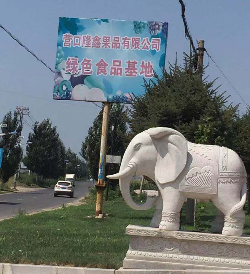 東北水果之鄉(xiāng)迎來(lái)發(fā)展新機(jī)遇，蓋州爭(zhēng)創(chuàng)省級(jí)現(xiàn)代農(nóng)業(yè)產(chǎn)業(yè)園
