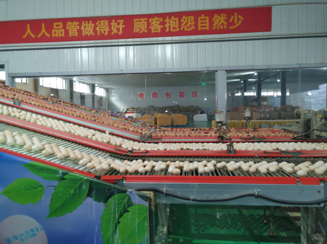 后稷故里，板棗之鄉(xiāng)——山西省稷山縣大力爭創(chuàng)國家現(xiàn)代農(nóng)業(yè)產(chǎn)業(yè)園