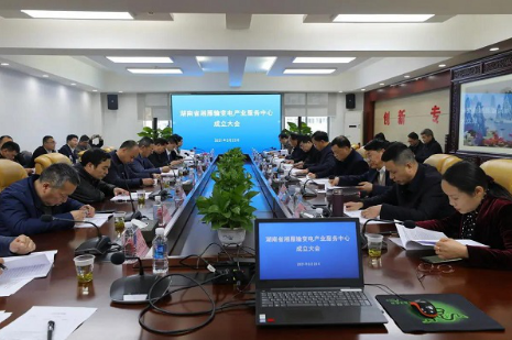 湘雁輸變電產(chǎn)業(yè)服務(wù)中心在長沙成立，湖南輸變電產(chǎn)業(yè)開啟發(fā)展新篇章