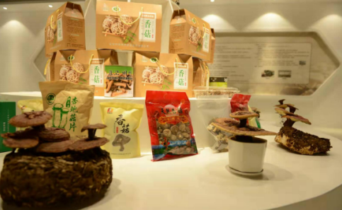 依托蘋果和香菇兩大特色優(yōu)勢產(chǎn)業(yè)，萬榮縣積極申創(chuàng)國家農(nóng)業(yè)現(xiàn)代化示范區(qū)