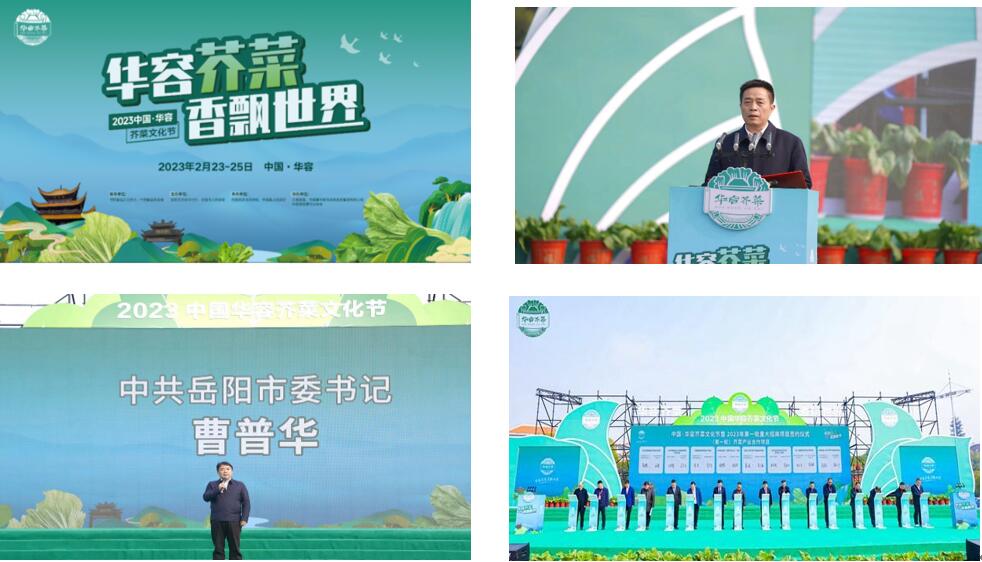 華容芥菜香飄四海，創(chuàng)建國家現代農業(yè)產業(yè)園恰逢其時