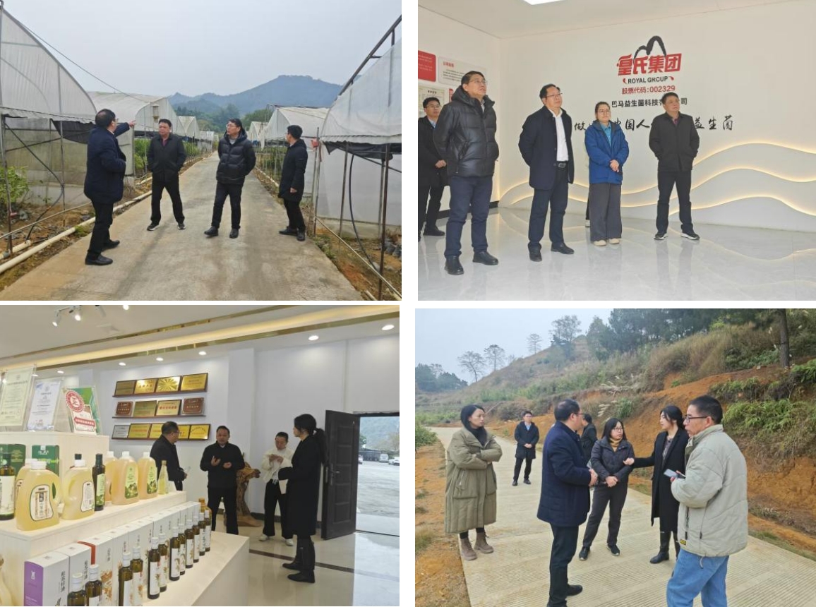長壽之鄉(xiāng)，逐路之行——高新院專家組一行赴廣西巴馬瑤族自治縣開展河池農高區(qū)創(chuàng)建調研